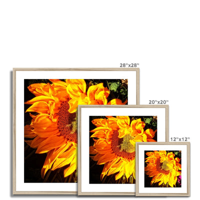 Sunflower Joy Shines Framed & Mounted Print | Feel Good Images