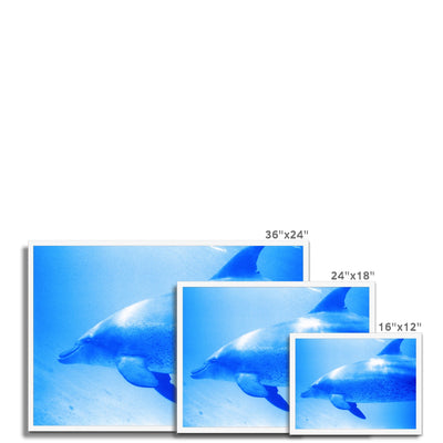 Oleen Joy Framed Print | Feel Good Images