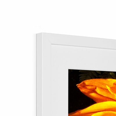 Sunflower Joy Shines Framed & Mounted Print | Feel Good Images