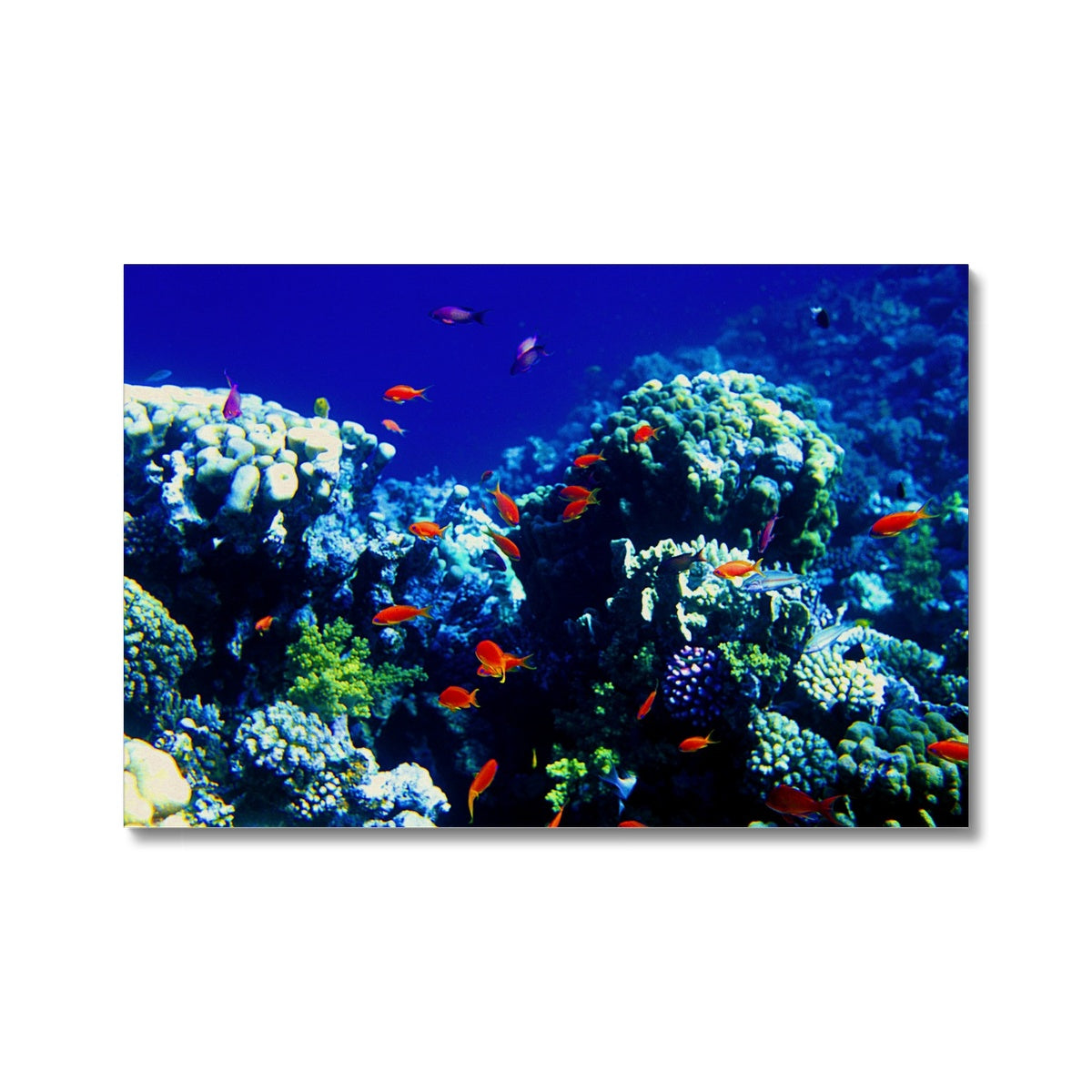 The Blue Hole - The Red Sea - Egypt - Canvas