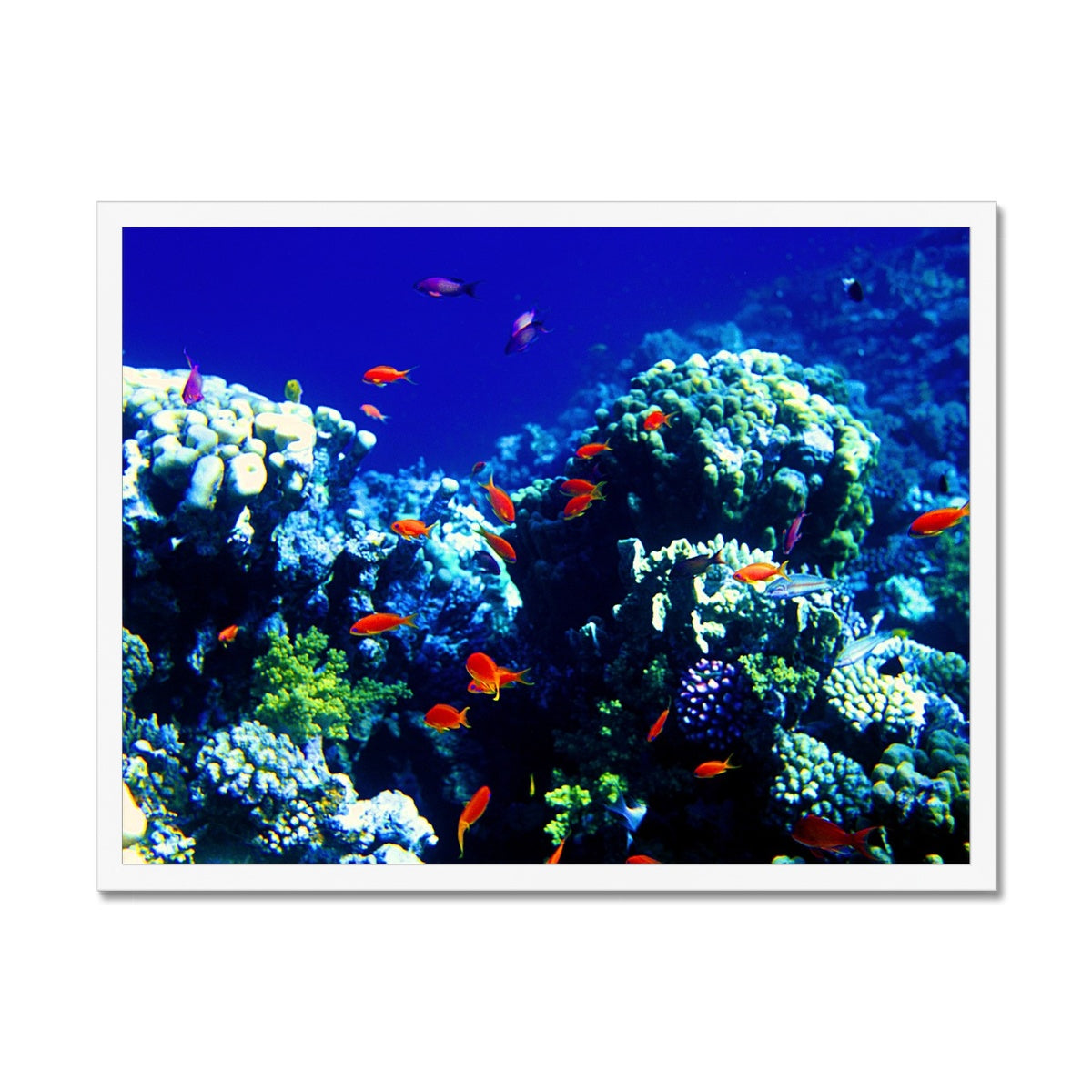 The Blue Hole - The Red Sea - Egypt Framed Print