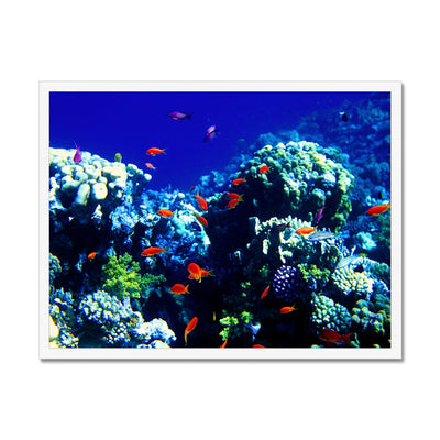 The Blue Hole - The Red Sea - Egypt Framed Print | Feel Good Images