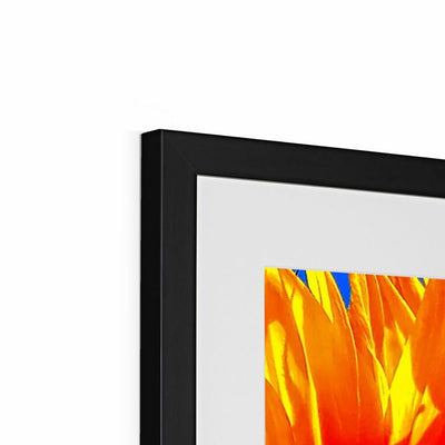 Sunflower Joy Framed & Mounted Print | Feel Good Images