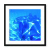 Dolphin Love Framed & Mounted Print | Feel Good Images