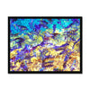 La Natural Piscina - San Andres Colombia Framed Print | Feel Good Images