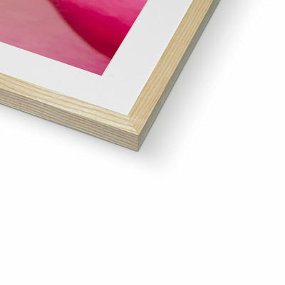 Rose Bliss Framed & Mounted Print | Feel Good Images