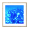 Dolphin Love Framed & Mounted Print | Feel Good Images