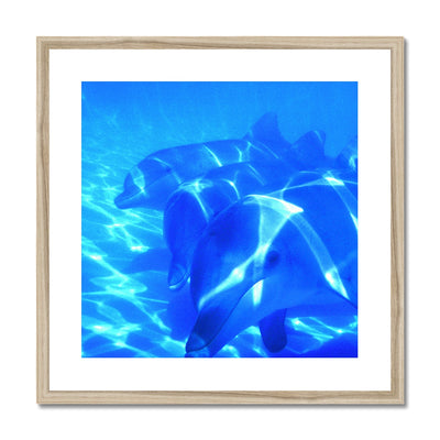 Dolphin Love Framed & Mounted Print | Feel Good Images