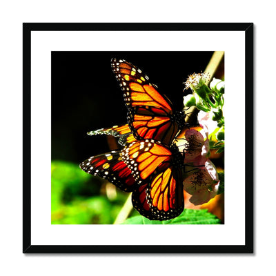 Butterfly Joy - Framed Mounted Print | Feel Good Images