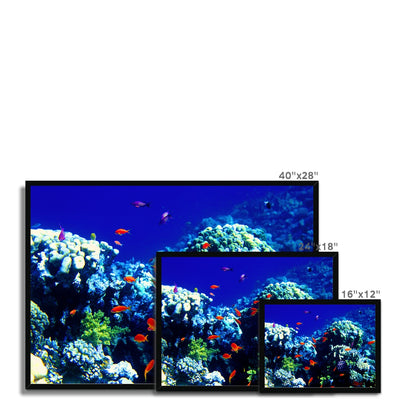 The Blue Hole - The Red Sea - Egypt Framed Print | Feel Good Images