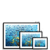 Monterey Fish Framed & Mounted Print | Feel Good Images