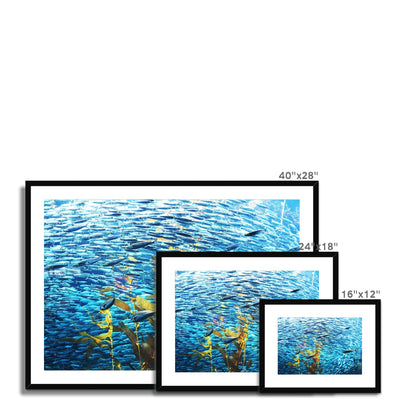 Monterey Fish Framed & Mounted Print | Feel Good Images