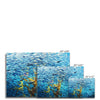 Monterey Fish - Canvas | Feel Good Images