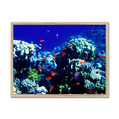 The Blue Hole - The Red Sea - Egypt Framed Print | Feel Good Images