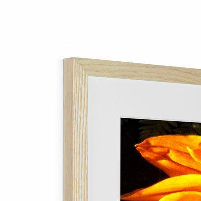 Sunflower Joy Shines Framed & Mounted Print | Feel Good Images