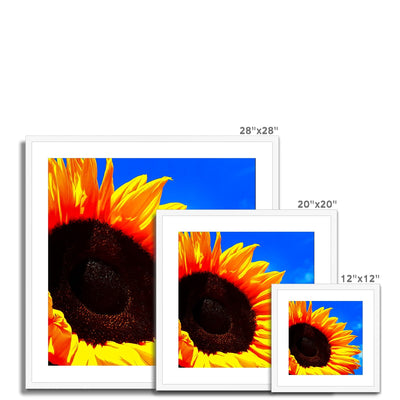Sunflower Joy Framed & Mounted Print | Feel Good Images