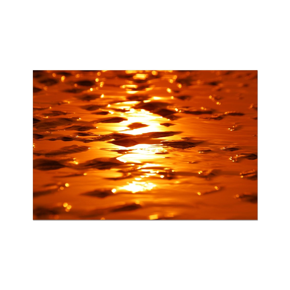 Golden Sands  Photo Art Print