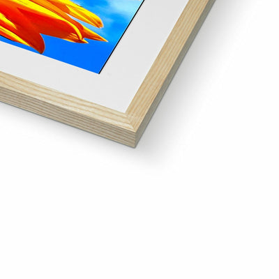 Sunflower Joy Framed & Mounted Print | Feel Good Images