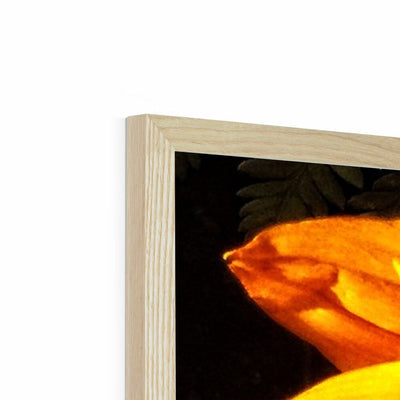 Sunflower Joy Shines Framed Print | Feel Good Images