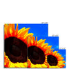 Sunflower Joy Photo Art Print | Feel Good Images