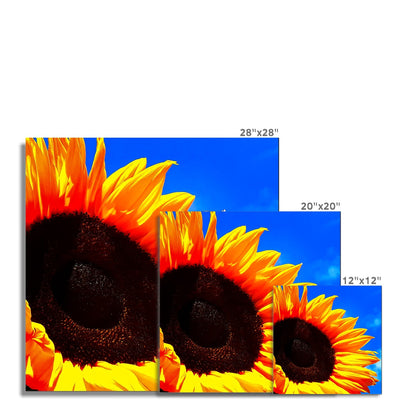 Sunflower Joy Photo Art Print | Feel Good Images