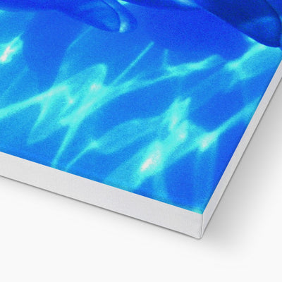 Dolphin Love Canvas | Feel Good Images