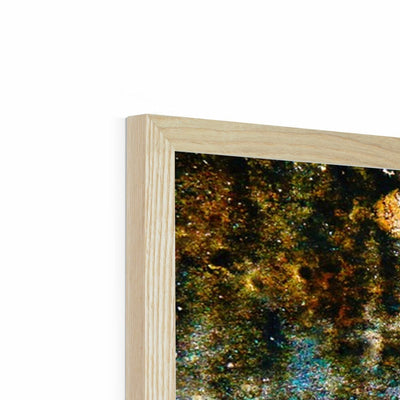 OM Framed Print | Feel Good Images