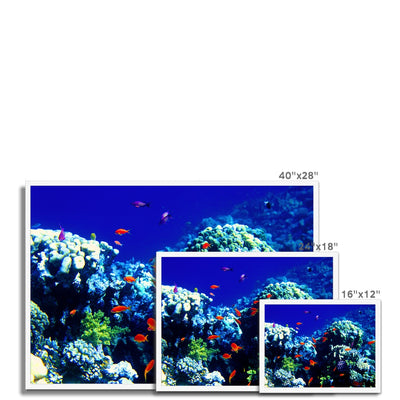 The Blue Hole - The Red Sea - Egypt Framed Print | Feel Good Images