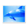 Oleen Joy Framed Print | Feel Good Images