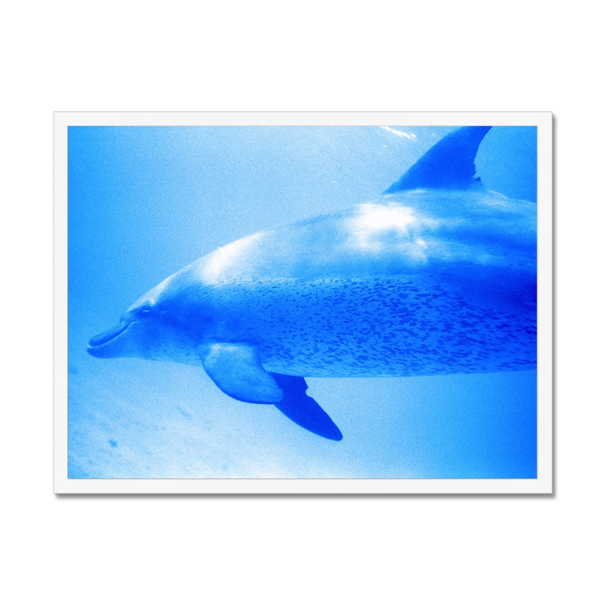 Oleen Joy Framed Print