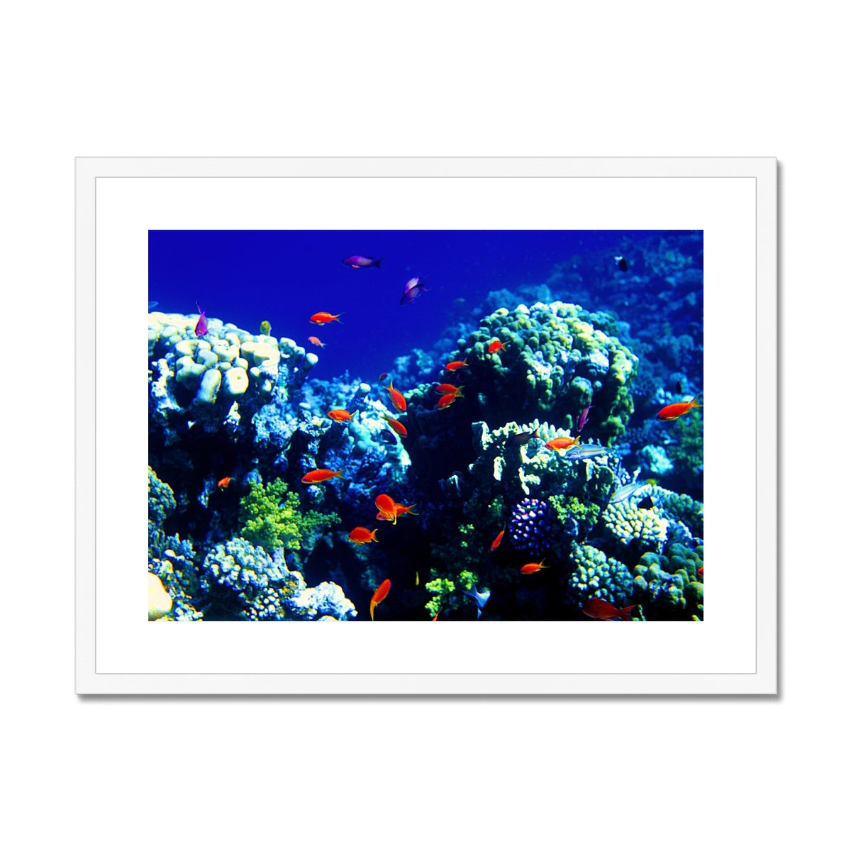 The Blue Hole - The Red Sea - Egypt Framed & Mounted Print