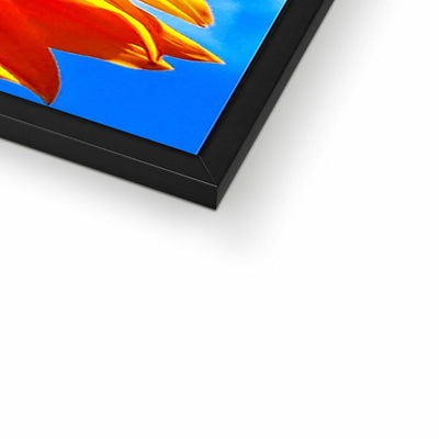 Sunflower Joy - Framed Print | Feel Good Images