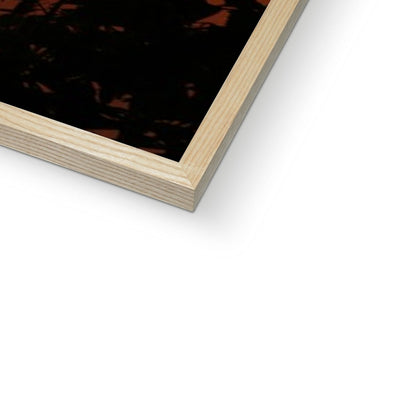 Golden Sun Glow Framed Print | Feel Good Images