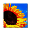 Sunflower Joy Canvas | Feel Good Images