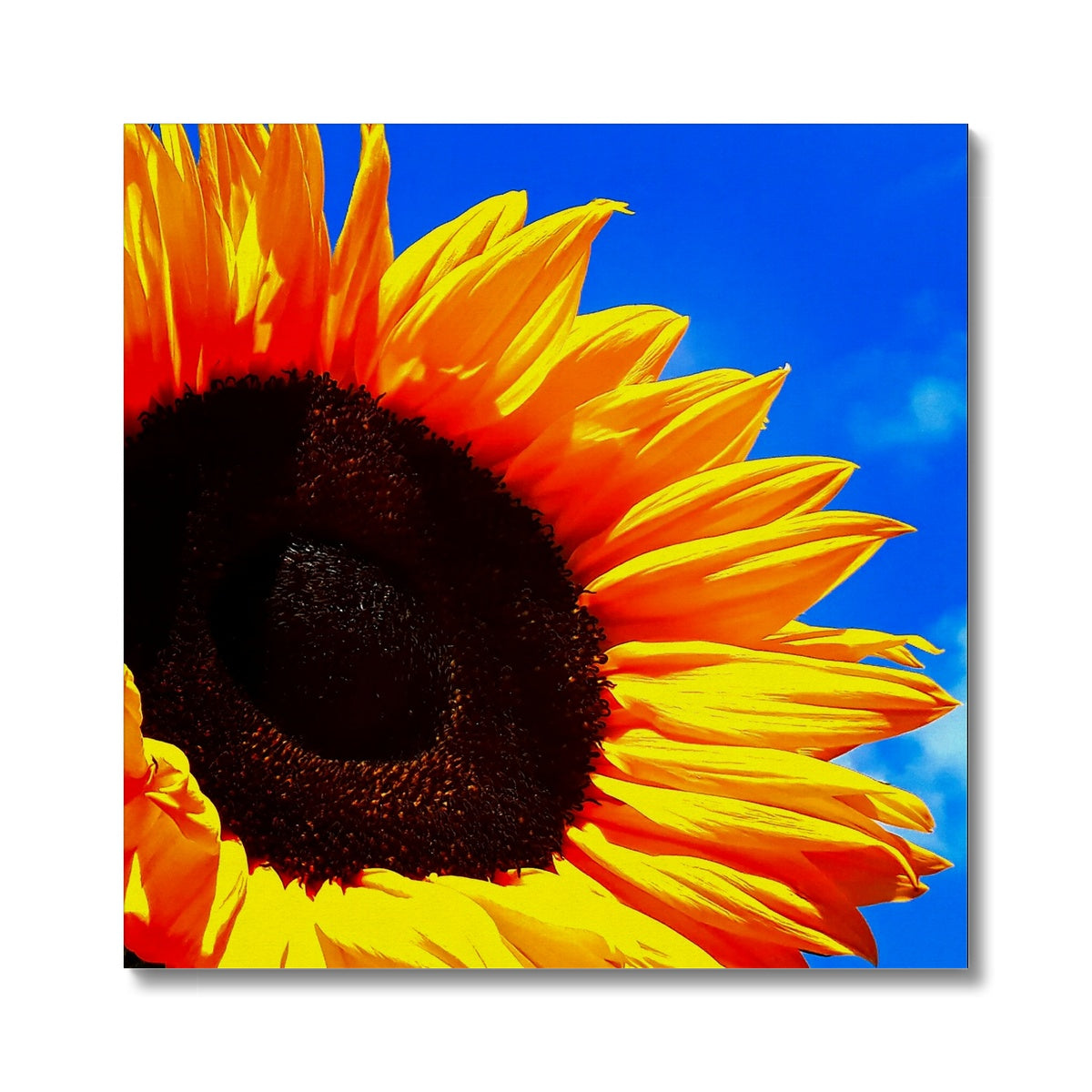 Sunflower Joy Canvas