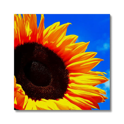Sunflower Joy Canvas | Feel Good Images