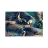 Seal Snuggles - California Photo Art Print | Feel Good Images