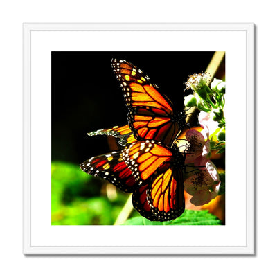 Butterfly Joy - Framed Mounted Print | Feel Good Images