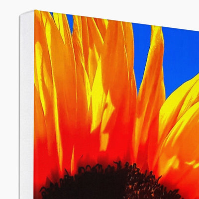 Sunflower Joy Canvas | Feel Good Images