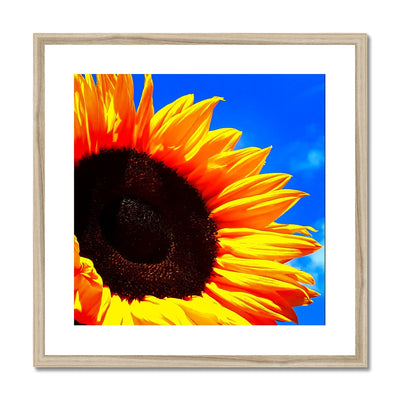 Sunflower Joy Framed & Mounted Print | Feel Good Images