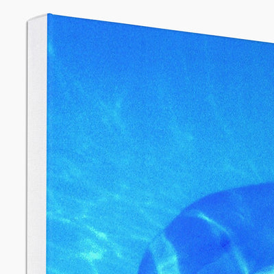 Dolphin Love Canvas | Feel Good Images