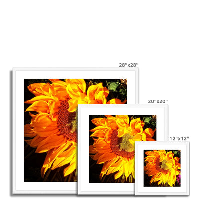 Sunflower Joy Shines Framed & Mounted Print | Feel Good Images