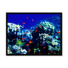 The Blue Hole - The Red Sea - Egypt Framed Print | Feel Good Images