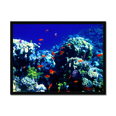 The Blue Hole - The Red Sea - Egypt Framed Print | Feel Good Images