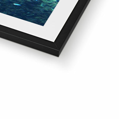 Monterey Fish Framed & Mounted Print | Feel Good Images