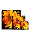 Sunflower Joy Shines Photo Art Print | Feel Good Images