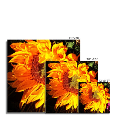 Sunflower Joy Shines Photo Art Print | Feel Good Images