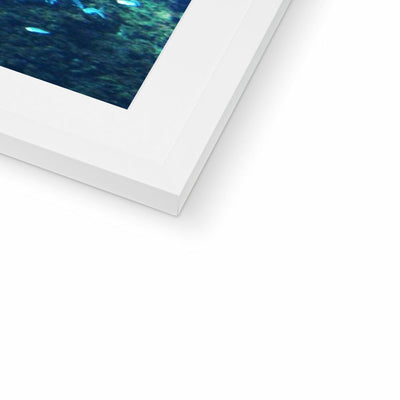 Monterey Fish Framed & Mounted Print | Feel Good Images