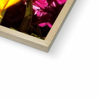 Sunflower Joy Shines Framed Print | Feel Good Images