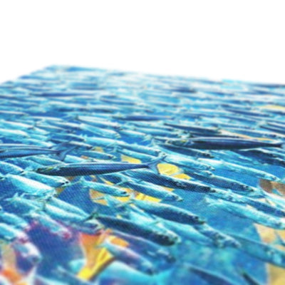 Monterey Fish - Canvas | Feel Good Images